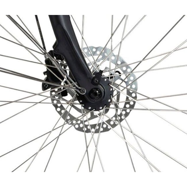 Elektrische Damesfiets 28 Inch E-Vision Valence Munt Groen