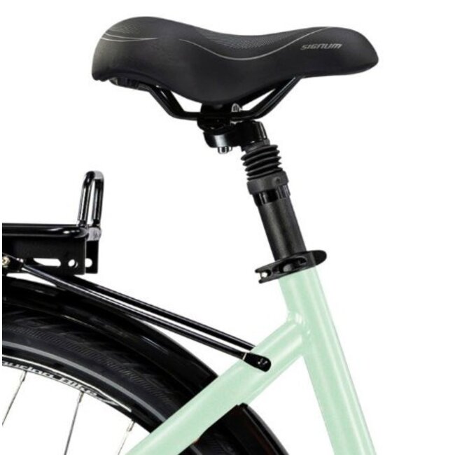 Elektrische Damesfiets 28 Inch E-Vision Valence Munt Groen