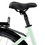 Elektrische Damesfiets 28 Inch E-Vision Valence Munt Groen