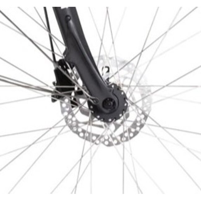 Elektrische Damesfiets 28 Inch E-Vision Valence Ivoorwit