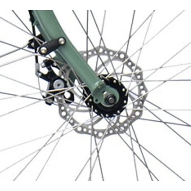 Elektrische Damesfiets 28 Inch Sydney Groen