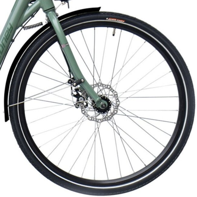 Elektrische Damesfiets 28 Inch Sydney Groen