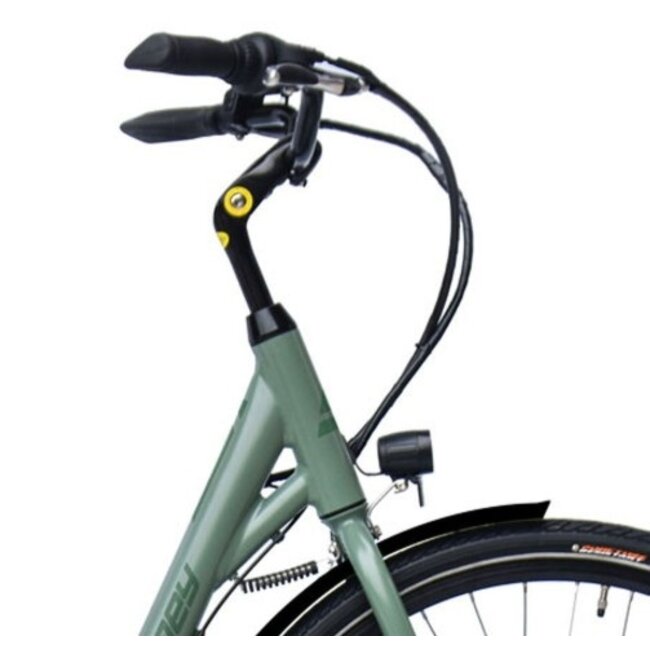 Elektrische Damesfiets 28 Inch Sydney Groen