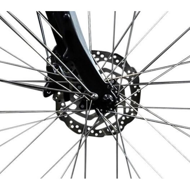 Elektrische Damesfiets 28 Inch E-Vision Giverny Zwart