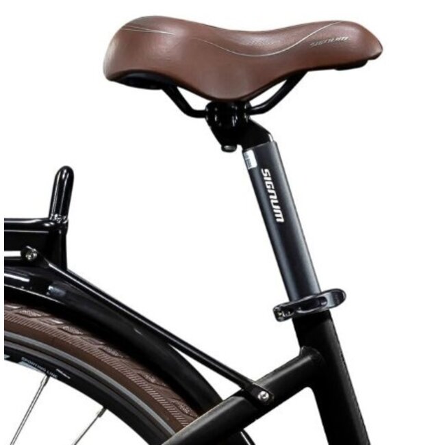 Elektrische Damesfiets 28 Inch E-Vision Giverny Zwart