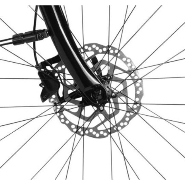 Elektrische Damesfiets 28 Inch Lombardo Maratea Zwart