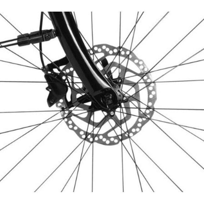 Elektrische Damesfiets 28 Inch Lombardo Maratea Wit
