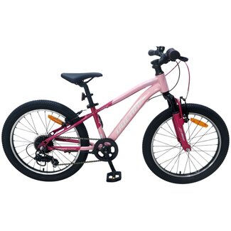 Volare Kinderfietsen Meisjes MTB 24 Inch Volare Boost 21V Roze 62477