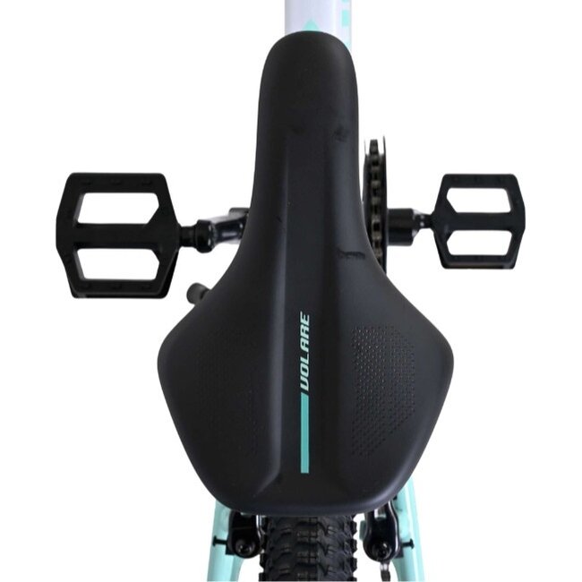 Meisjes Mountainbike 20 Inch Volare Boost 21V Mint 62078