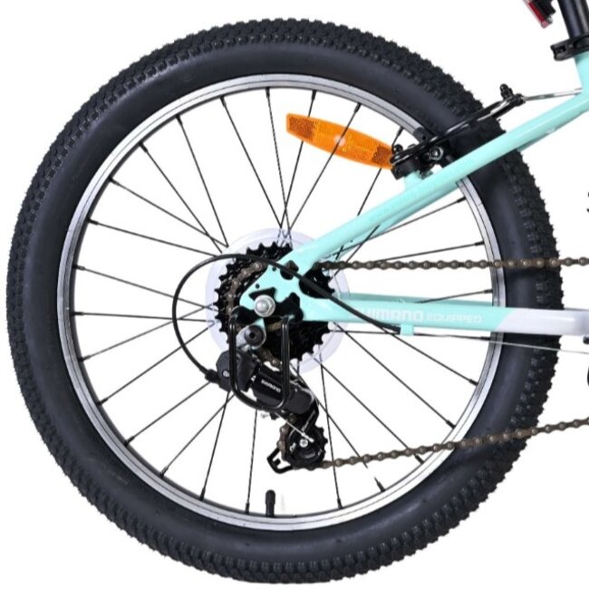 Meisjes Mountainbike 20 Inch Volare Boost 21V Mint 62078