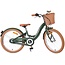 Meisjesfiets 20 Inch Volare Ashley 3V Groen 62045