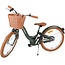 Meisjesfiets 20 Inch Volare Ashley Groen 62044