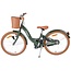 Meisjesfiets 20 Inch Volare Ashley Groen 62044