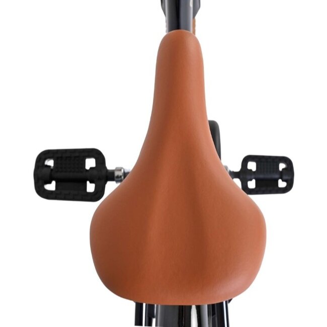 Meisjesfiets 24 Inch Volare Ashley Zwart 62440