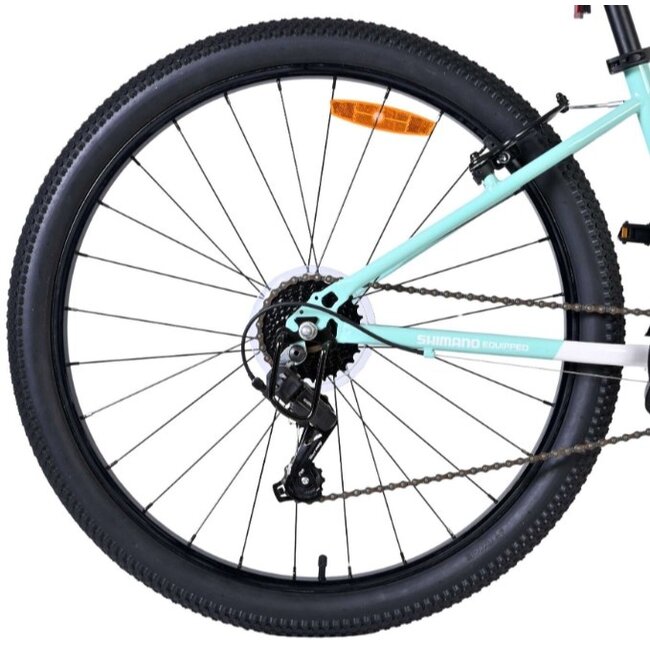 Meisjes Mountainbike 26 Inch Volare Boost 21V Mint 62678