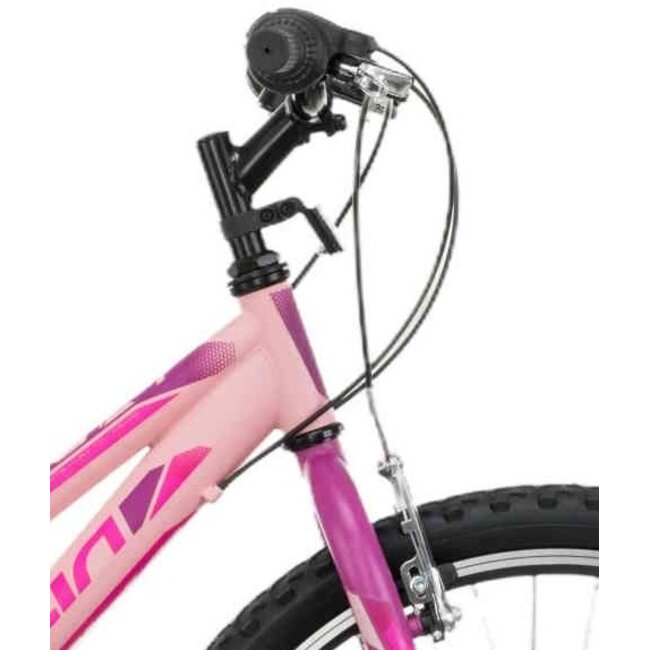 Meisjes Mountainbike 24 Inch Marlin Calypso Roze