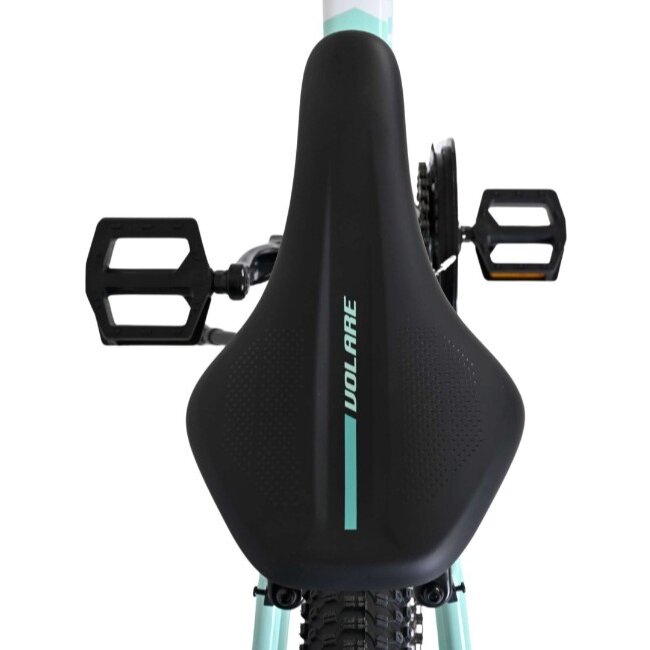 Meisjes Mountainbike 24 Inch Volare Boost Mint 62478