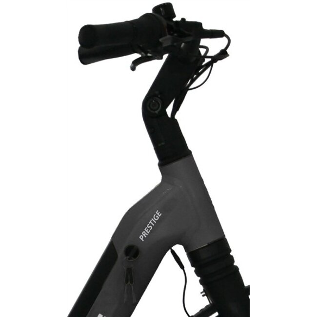 Elektrische Fiets 28 Inch Vogue Prestige Zwart