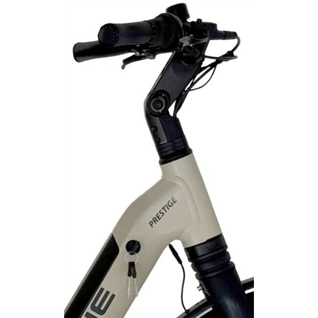 Elektrische Fiets 28 Inch Vogue Prestige Grijs
