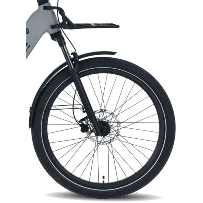 Elektrische Fiets 28 Inch Vogue Artemis Grijs
