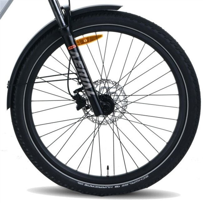 Elektrische Fiets 28 Inch Vogue SUV Zilver