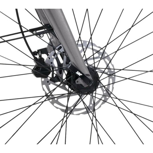 Elektrische Fiets 28 Inch Vogue Nova Mat Grijs Bruin