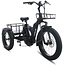 Elektrische Driewieler 24 Inch Vogue Big Foot Zwart