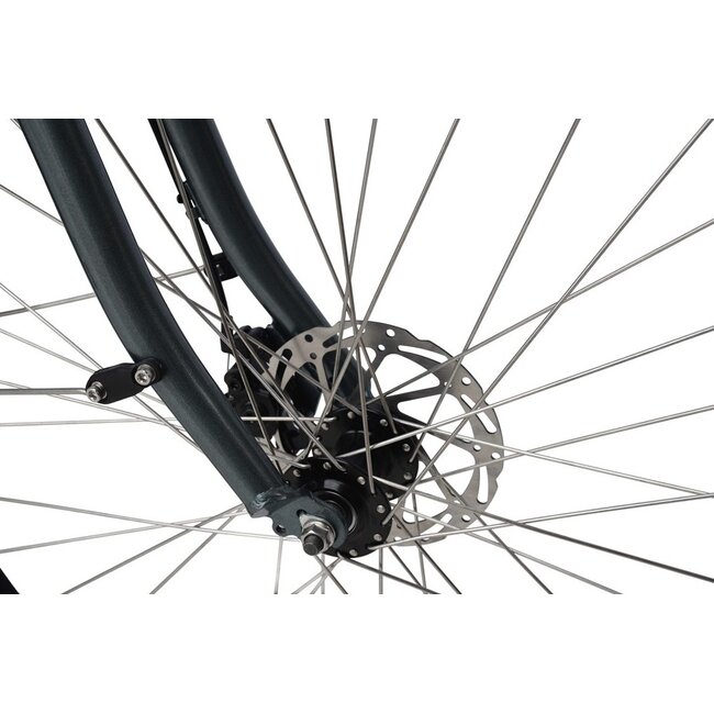 Elektrische Damesfiets 28 Inch Sydney Grijs