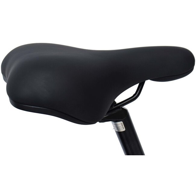 Elektrische Damesfiets 28 Inch Sydney Grijs