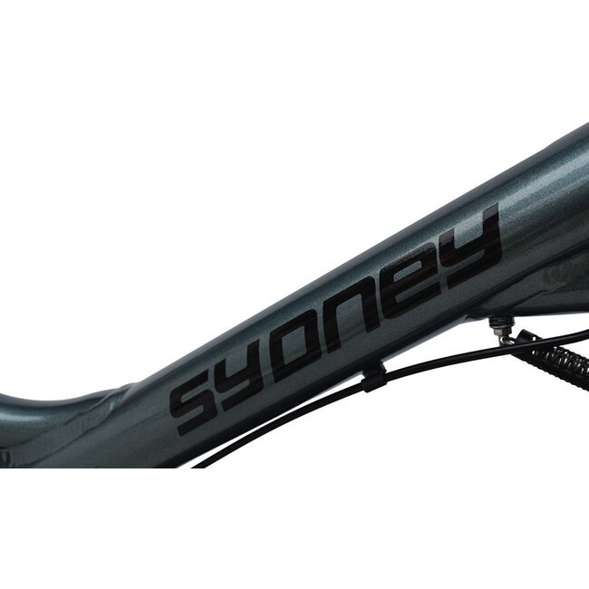 Elektrische Damesfiets 28 Inch Sydney Grijs
