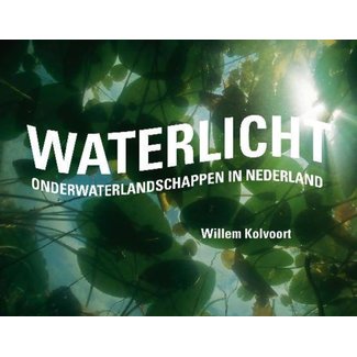 Lucas Waterlicht by Willem Kolvoort