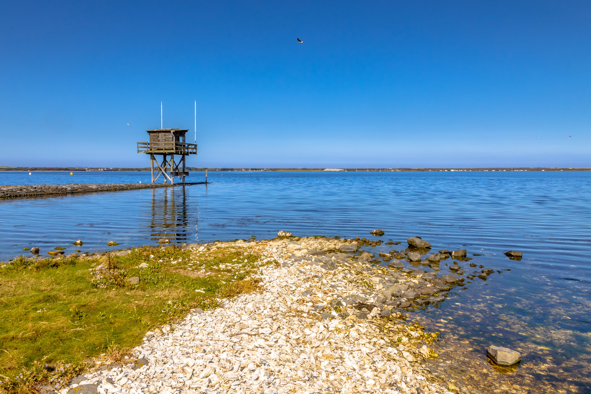 Grevelingenmeer kust dive spot