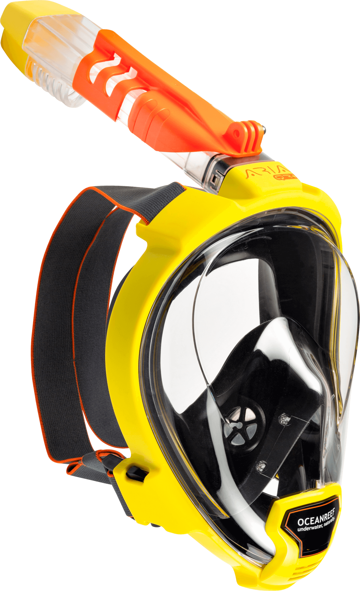 OceanReef Aria QR+ Lucas Divestore