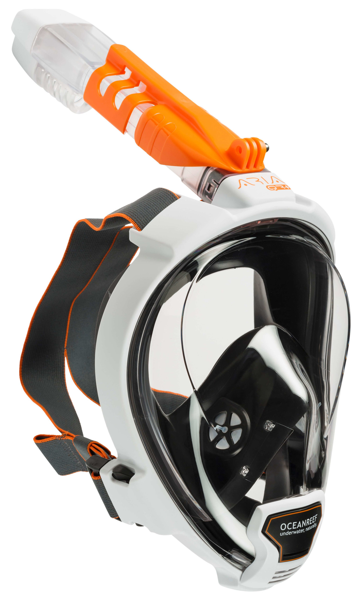 OceanReef Aria QR+ Lucas Divestore