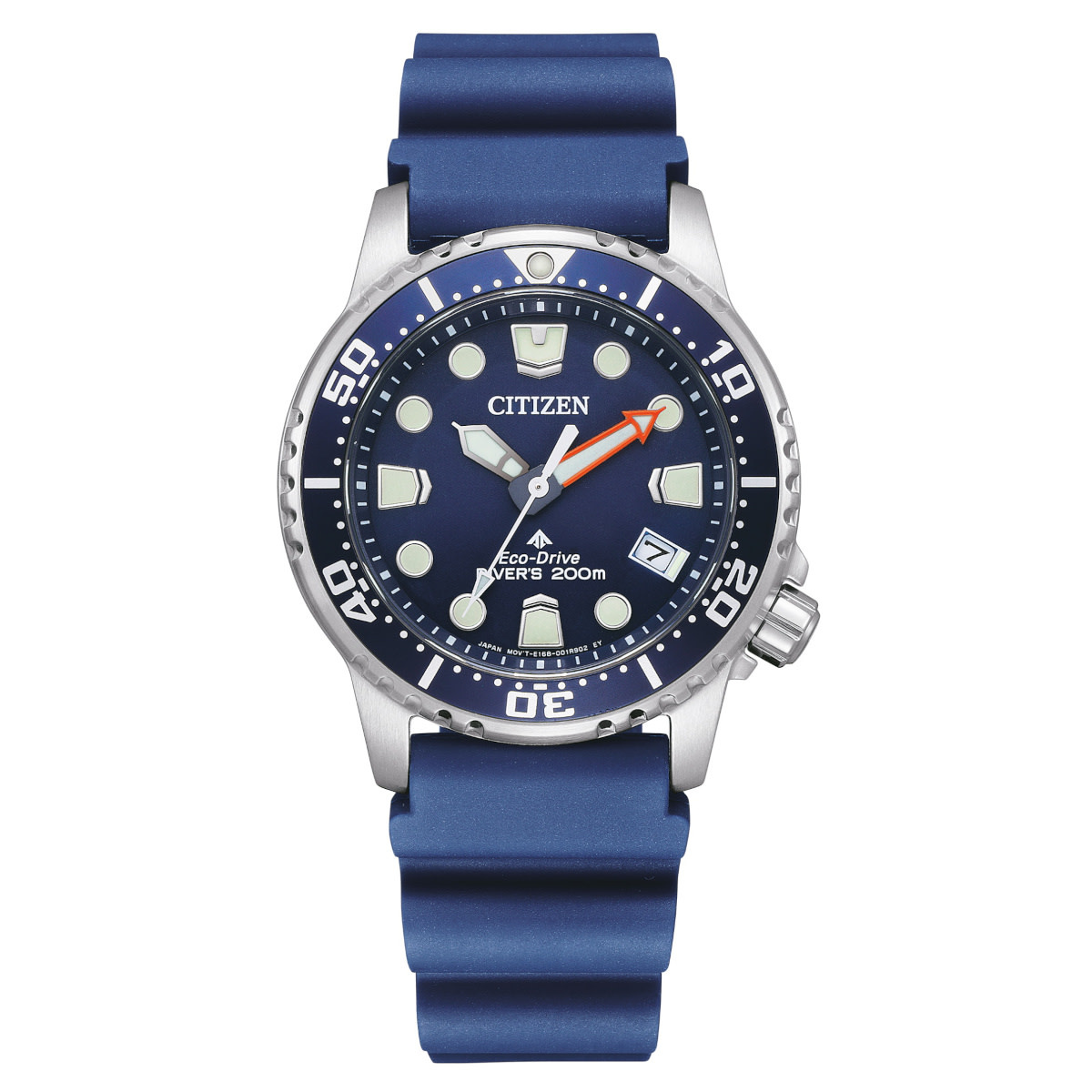 Citizen watch band size hotsell