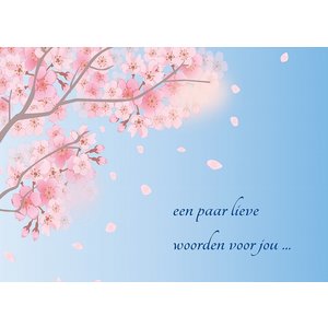 Postkaart 'een paar lieve woorden voor jou' | eenbeetjegeluk.nl