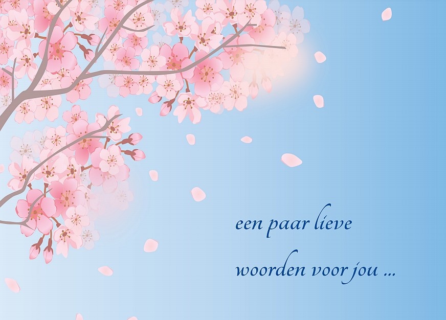 Postkaart 'een paar lieve woorden voor jou' | eenbeetjegeluk.nl