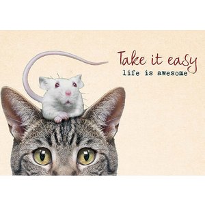 Zintenz Postkaart Take it easy, life is awesome | eenbeetjegeluk.nl