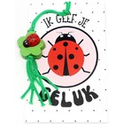 Kaartje ik geef je geluk met klavertje met lieveheersbeestje