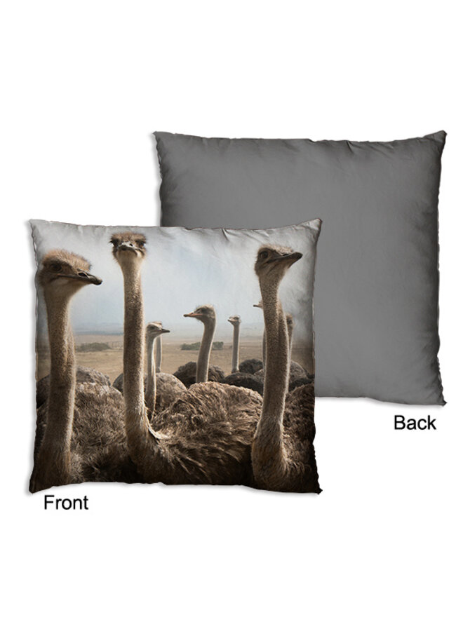 Pillow Ostrich