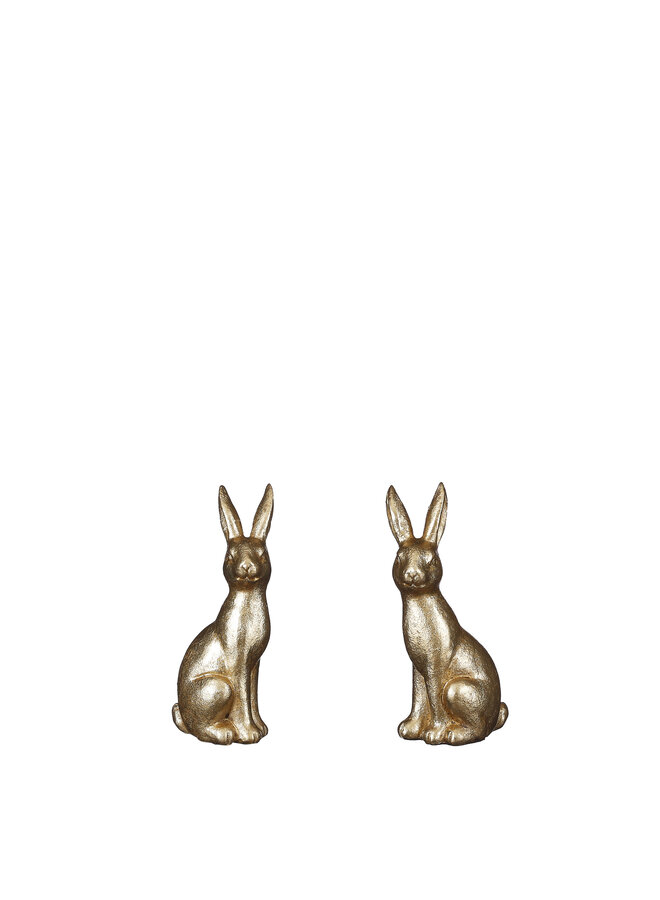 Rabbit gold 2 assorted