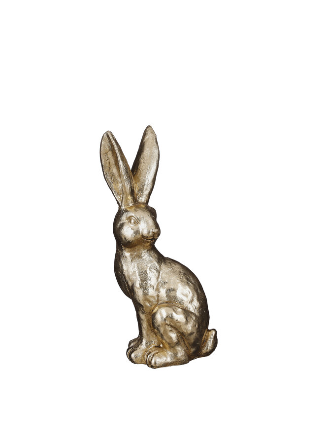 Rabbit gold