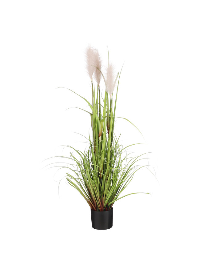 Feather grass in jar gray