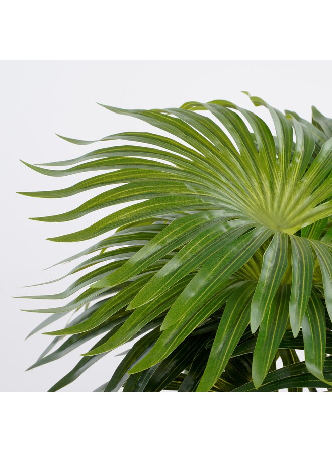 Palm groen in pot Stan grijs