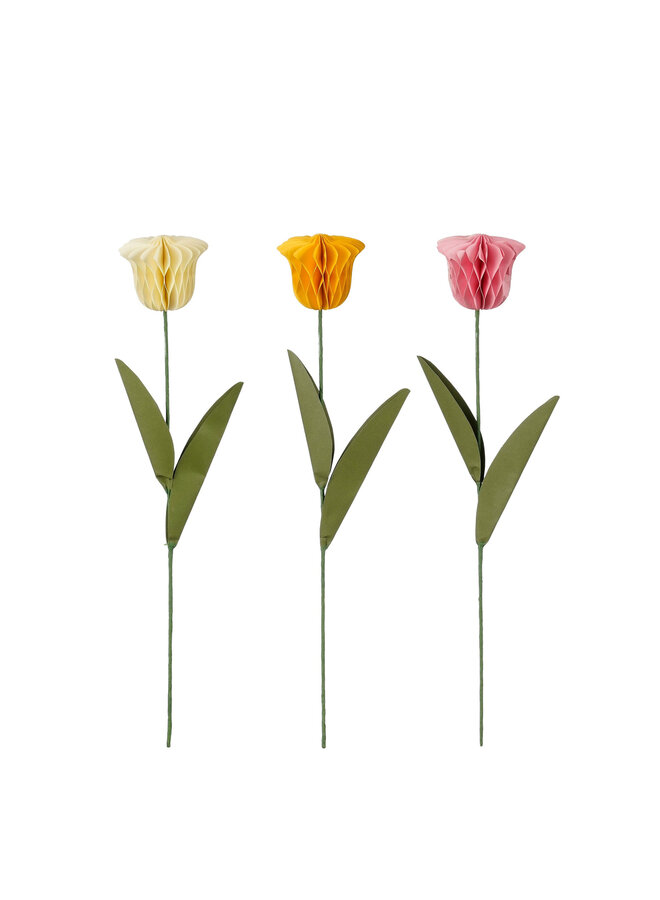 Bijsteker tulp wit geel roze 3 assorti