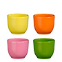 Tusca pot rond d.roze l.geel oranje groen 4 assorti display