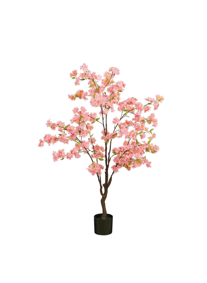 Bloesemboom in pot roze