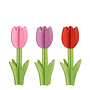 Decoration tulip red pink purple 3 ass.
