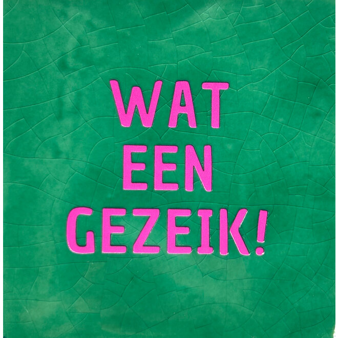 Tegeltje 'Wat een gezeik' hard groen/roze kleur