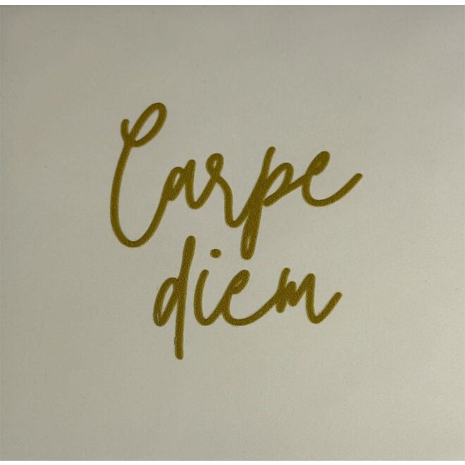 Tegel carpe diem creme/goud